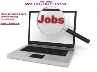 Home based part time Typing Data entry job