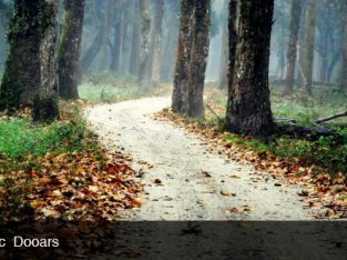 Dooars tour packages