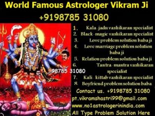 Astrologer For Love Solution In Mumbai +919878531080