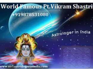Astrologer For Love Solution In Mumbai +919878531080