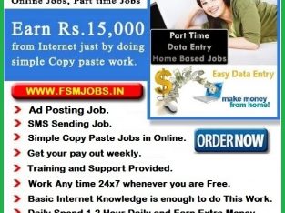 WORK FROM HOME INTERNET JOBS, DATA TYPING JOB, AD POSTING JOBS. VISIT:- WWW.FSMJOBS.IN