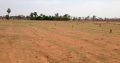 CHEAP AGRI LAND FOR SALE WITH OPEN WELL