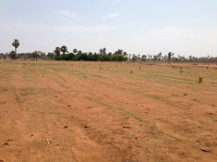 CHEAP AGRI LAND FOR SALE WITH OPEN WELL