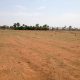 CHEAP AGRI LAND FOR SALE WITH OPEN WELL