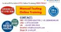 Manual Testing Online training from Industry Experts-Acutesoft