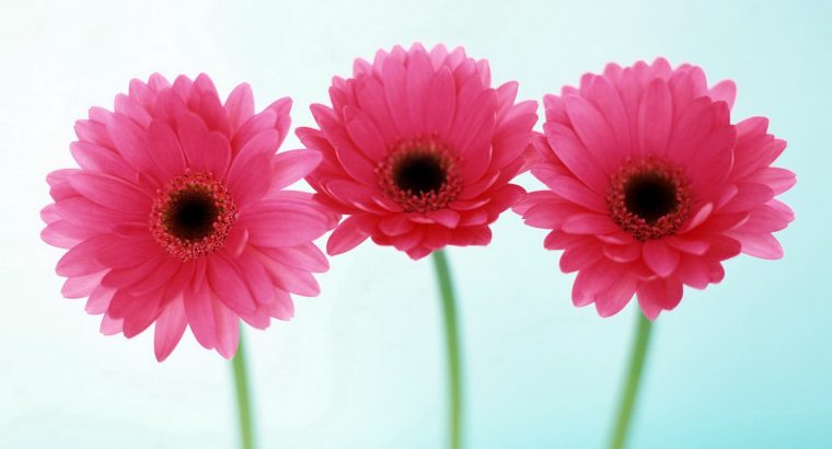 10343 gleam technologies | gleam technologies offline | gleam technologies Online