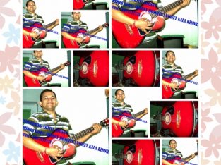 learn spanish guitar and hawaian guitar in kolkata from performing artist society