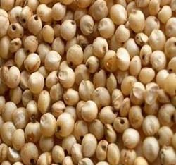 Fast Process For Loan Of Lock And Key ,Mortgage, Home Loan And Get Your Dream House !!!