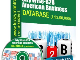 City Wise American Bussiness Database Price 7999/-