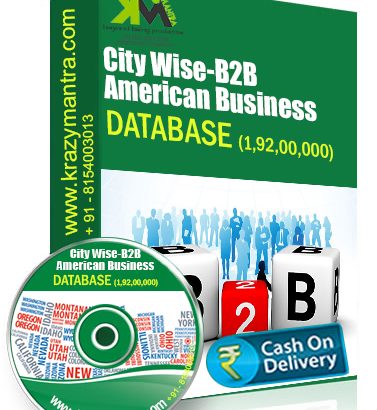 City Wise American Bussiness Database Price 7999/-