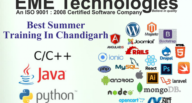 Summer Training In Chandigarh