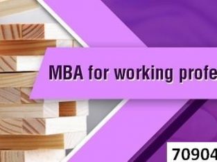 MANAGEMENT PROGRAMS OF DISTANCE MODE