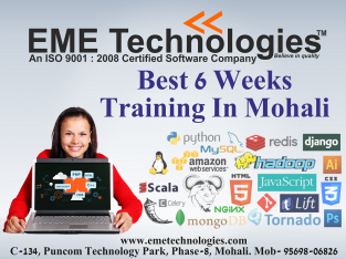 Six Week Training In Mohali