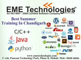 Best Summer Training In Chandigarh
