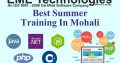 Best Summer Training In Mohali
