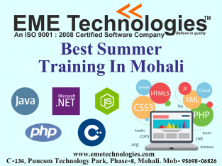 Best Summer Training In Mohali