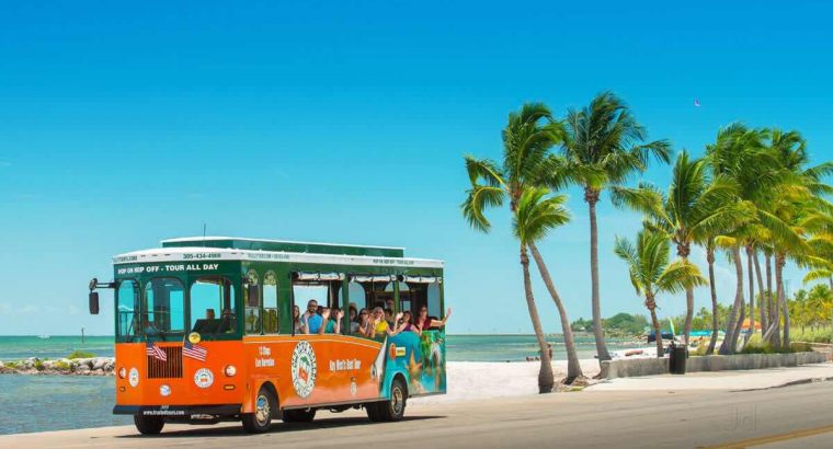 Spend your evening with Beach Tour packages