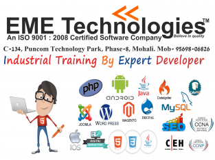 Industrial Training In Mohali