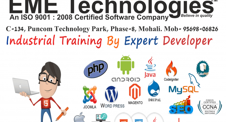 Industrial Training In Mohali