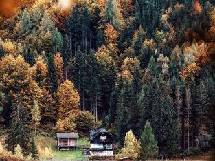 Fill a year with great memories of your favourite photos. Create personalized calendars. Starts at Rs.150