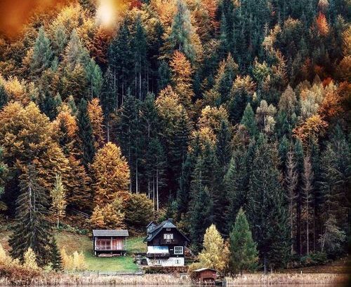 Fill a year with great memories of your favourite photos. Create personalized calendars. Starts at Rs.150