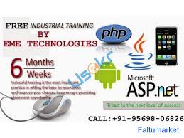 6 Weeks Training In Mohali