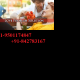 Love Problem Solution by Astrology – Love Vashikaran Astrologer Acharya A.K Joshi Ji +918427583167 in @@ Hyderabad^^