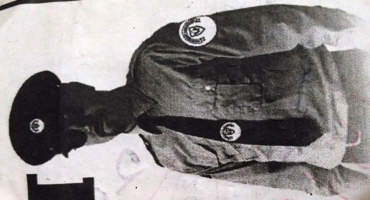 Tiger security services