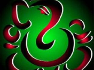 Famous Indian Astrologer