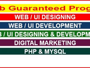 100% job guaranteed program on UX / UI technolgoies