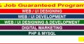 100 per job guaranteed program on WEB UI development