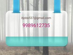 Genuine Backdoor IT Jobs Hyderabad