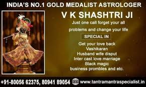 Best Astrologer Pandit Baba Ji in Delhi NCR +918094189054 Call & Watsapp